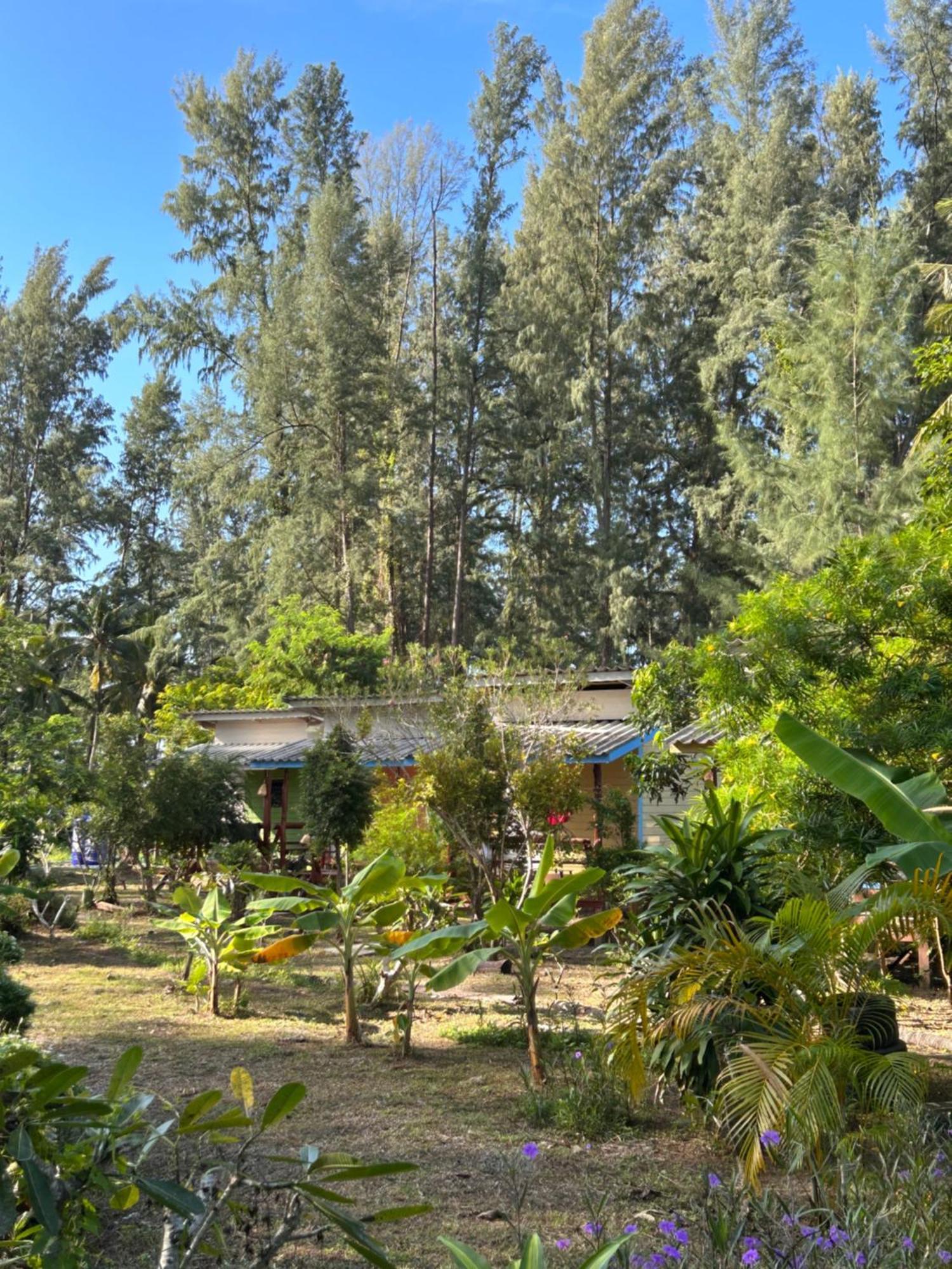 Neverland Beach Village Bungalows Ko Lanta Exterior foto